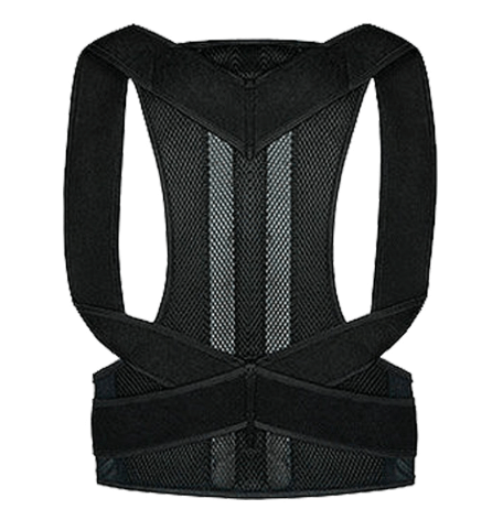 Ceinture de posture dorsale réglable